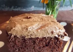 Booking and Cooking/Delicious Chocolate Mayonnaise Cake